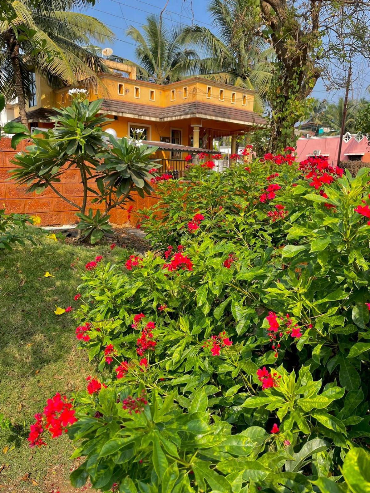 Scarlet Resort Alībāg Dış mekan fotoğraf